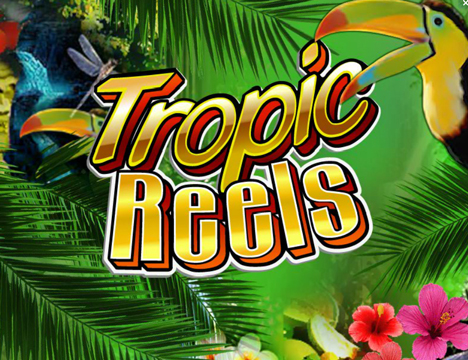 tropic reels im prestige casino spielen