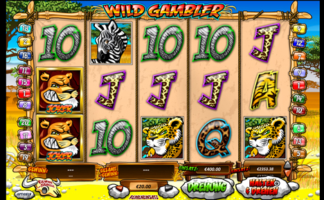 wild gambler online slot im winner casino